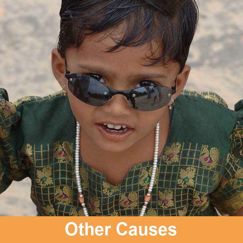 Other Causes of Avoidable Blindness